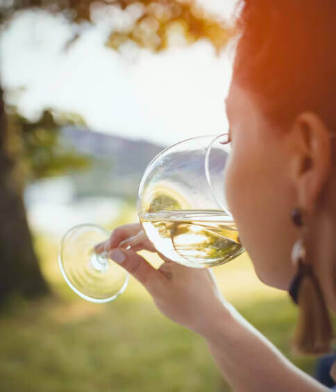 wine tours